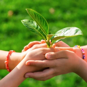 ISO 14001 Environmental Management System - Training Courses